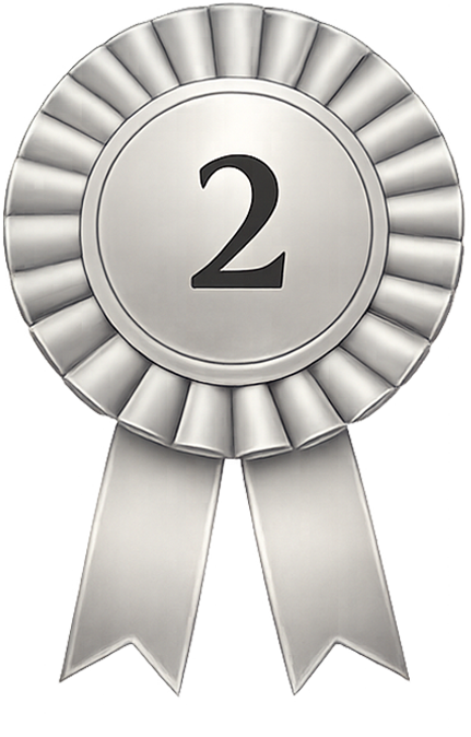 Secondo Premio